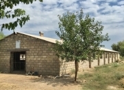 Satılır 5 otaqlı 2500 m2 obyekt Beyləqan