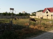 Satılır 11 sot torpaq Xaçmaz