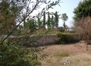 Satılır 5 sot torpaq Xaçmaz