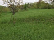 Satılır 10 sot torpaq Quba