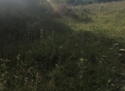 Satılır 12 sot torpaq Şamaxı