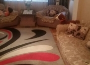 Satılır 3 otaqlı 133 m2 yeni tikili Ayna Sultanova heykəli