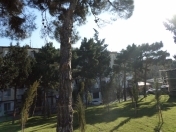 Satılır 2 otaqlı 45 m2 köhnə tikili Zərifə Əliyeva adına park