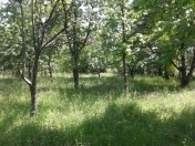 Satılır 10 sot torpaq Quba