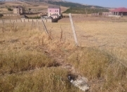Satılır 10 sot torpaq Şamaxı