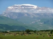 Satılır 10 sot torpaq Qusar