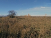 Satılır 1.4 sot torpaq Quba