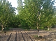 Satılır 10 sot torpaq Xaçmaz