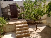 İcarəyə verilir 1 otaqlı 64 m2 həyət evi Bakıxanov