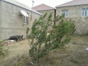 Satılır 2 otaqlı 60 m2 həyət evi Qobu