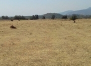 Satılır 30 sot torpaq Zaqatala