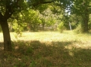 Satılır 8 sot torpaq Quba