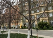 Satılır 1 otaqlı 43 m2 yeni tikili Masazır