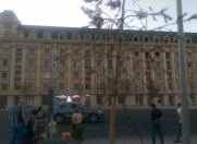 İcarəyə verilir 6 otaqlı 220 m2 yeni tikili Bayıl