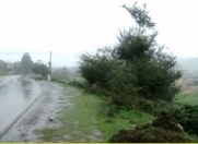 Satılır 23 sot torpaq Lənkəran