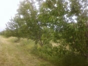 Satılır 12 sot torpaq Sərhədçi İdman kompleksi