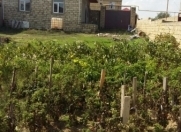 Satılır 3 otaqlı 72 m2 həyət evi Balaxanı