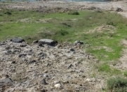 Satılır 9 sot torpaq Masazır