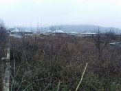 Satılır 12 sot torpaq Şəki