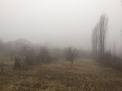 Satılır 10 sot torpaq Qusar