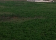 Satılır 25 sot torpaq Qusar