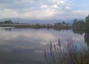 Satılır 1.5 sot torpaq Zaqatala