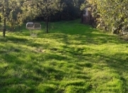 Satılır 6 sot torpaq Oğuz