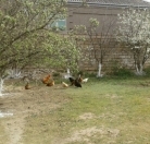 Satılır 4 otaqlı 500 m2 həyət evi M.Hüseynzadə parkı