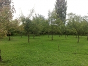 Satılır 16 sot torpaq Quba