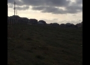 Satılır 20 sot torpaq Xırdalan