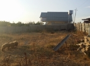 Satılır 12 sot torpaq Şamaxı