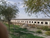 Satılır 2 otaqlı 1500 m2 obyekt Salyan