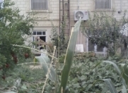 Satılır 6 otaqlı 200 m2 həyət evi Binə