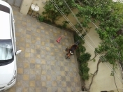 Satılır 4 otaqlı 140 m2 həyət evi Biləcəri