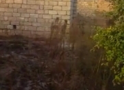 Satılır 3 sot torpaq Sumqayıt