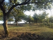 Satılır 200 sot torpaq Quba