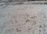 Satılır 12 sot torpaq Şamaxı