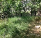 Satılır 6 sot torpaq Sumqayıt