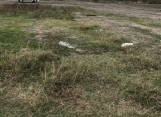 Satılır 8 sot torpaq Xaçmaz