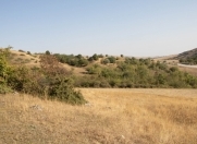 Satılır 566 sot torpaq Şamaxı