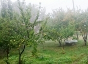 Satılır 30 sot torpaq İsmayıllı