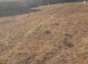 Satılır 5 sot torpaq Masazır