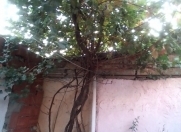 Satılır 3 otaqlı 40 m2 həyət evi Sumqayıt