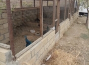 Satılır 4 otaqlı 4000 m2 obyekt Qobustan