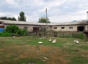 Satılır 80 sot torpaq İsmayıllı