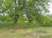 Satılır 24 sot torpaq Fatmayı