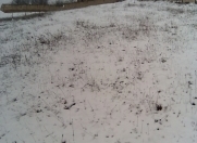 Satılır 12 sot torpaq Şamaxı