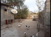 Satılır 4 otaqlı 130 m2 həyət evi Hövsan