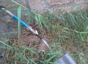 Satılır 6 sot torpaq Maştağa