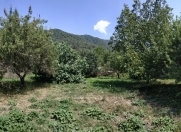 Satılır 12 sot torpaq İsmayıllı